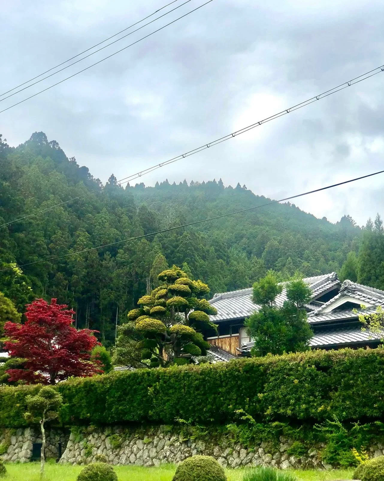 蒸留工程